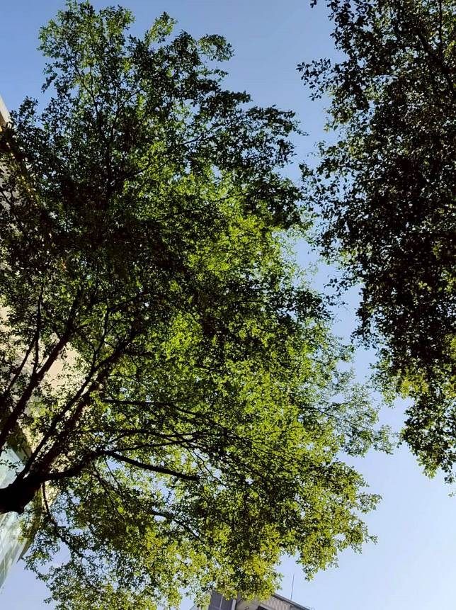 圖片來源:臺北市政府