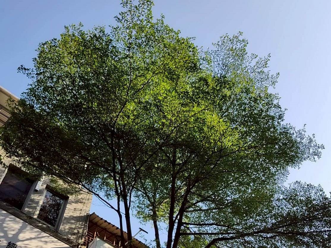 圖片來源:臺北市政府