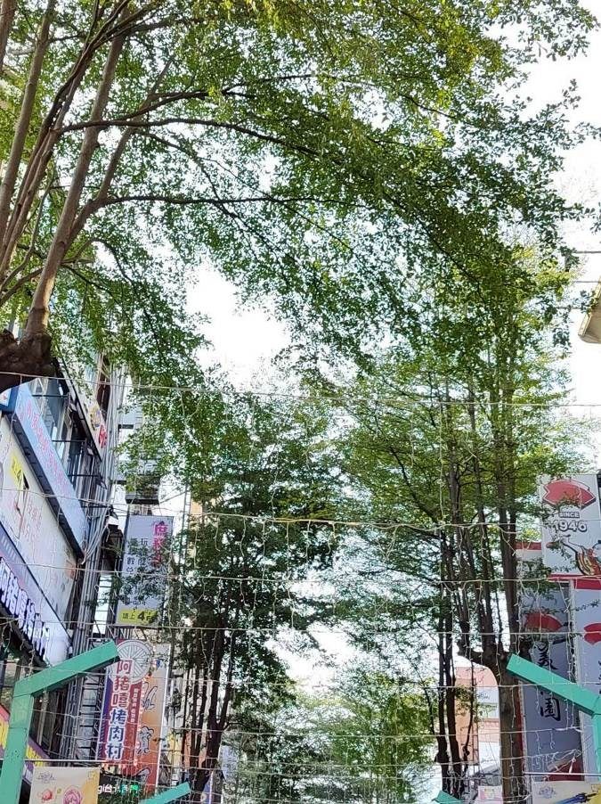 圖片來源:臺北市政府