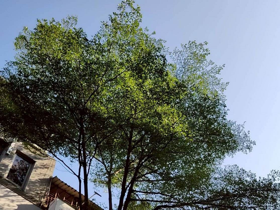 圖片來源:臺北市政府