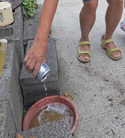 圖8.利用啤酒及水盤製作引誘蝸牛聚集的陷阱