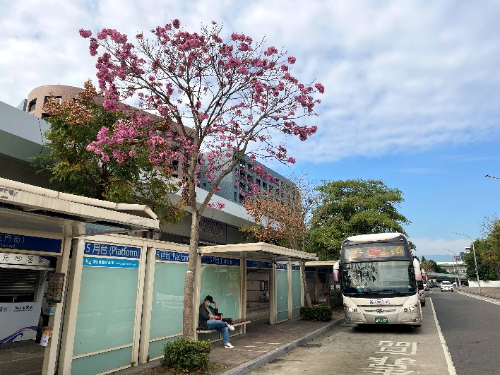 圖片來源：臺北市政府