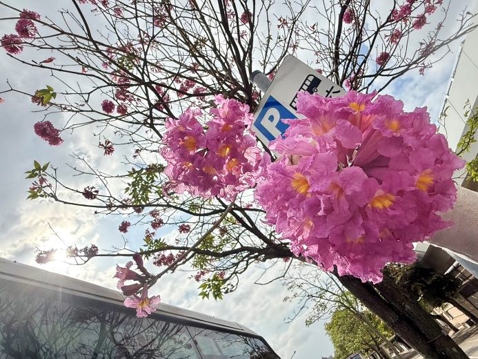 圖片來源：臺北市政府