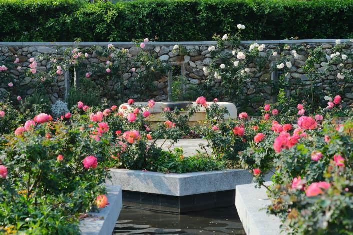 圖3：臺北玫瑰園祕密花園區