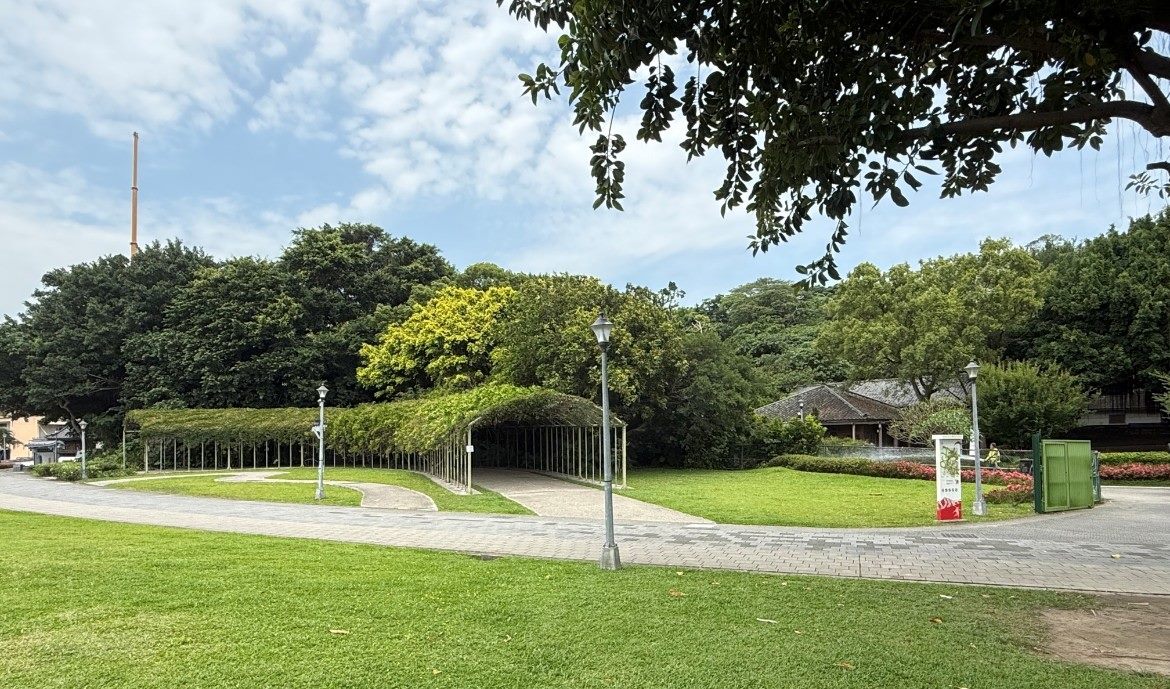 圖10梔子花、紫藤花及皋月杜鵑串聯成為市民與遊客近期關注的賞花新秘境。