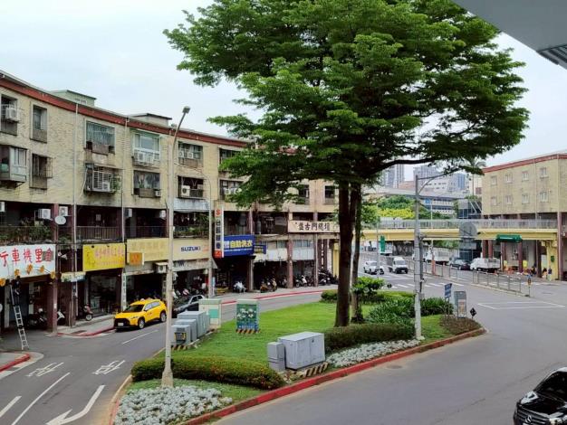 (圖3) 萬華臺灣感性背後更有著優雅林蔭默默支持，觸動居民及來往遊客的心坎裡