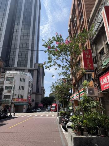 (圖片7)西園路紫薇搭配仙丹複層式花臺