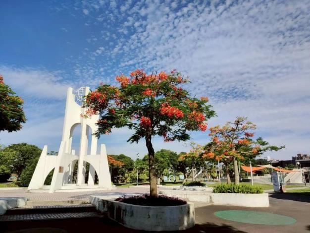 (圖14) 花博公園新生園區則以寬闊草地與花影相互映襯，呈現悠閒愜意的夏日氛圍