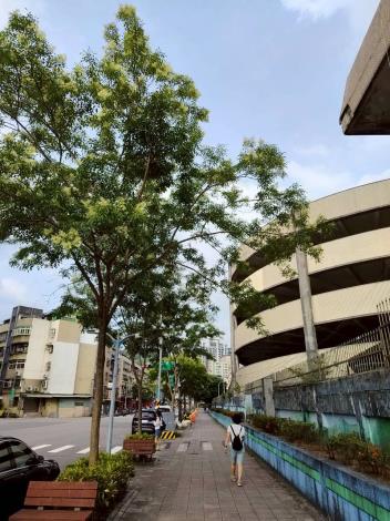 圖片來源:臺北市政府