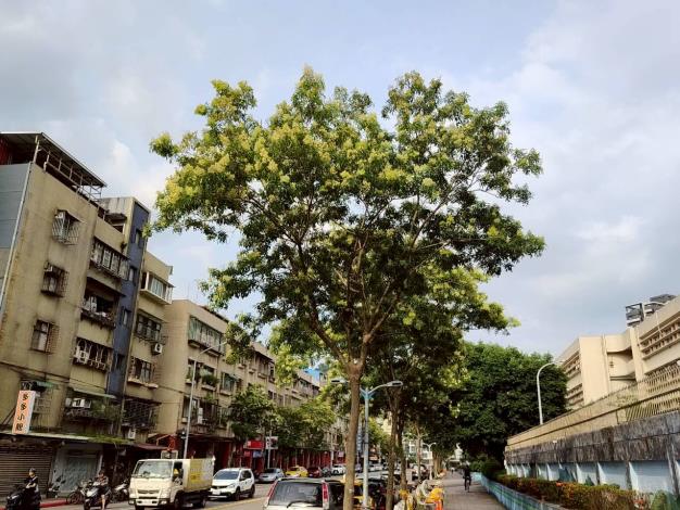圖片來源:臺北市政府