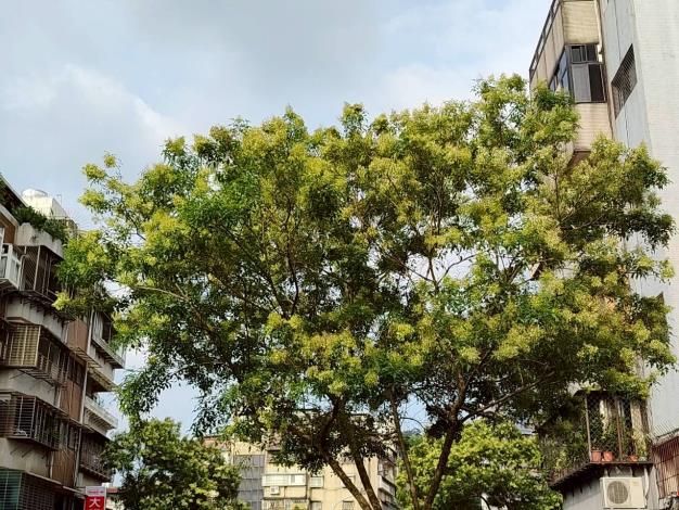 圖片來源:臺北市政府