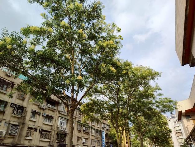 圖片來源:臺北市政府