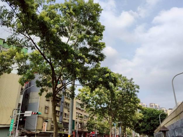圖片來源:臺北市政府