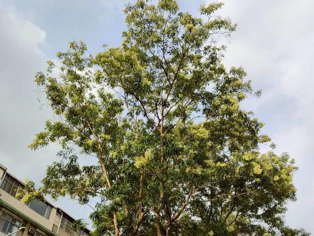 圖片來源:臺北市政府