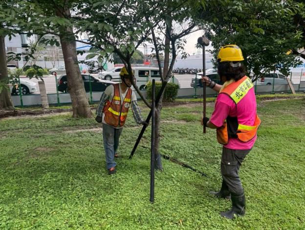 (圖6) 公園處加強立支柱,積極做好防災整備