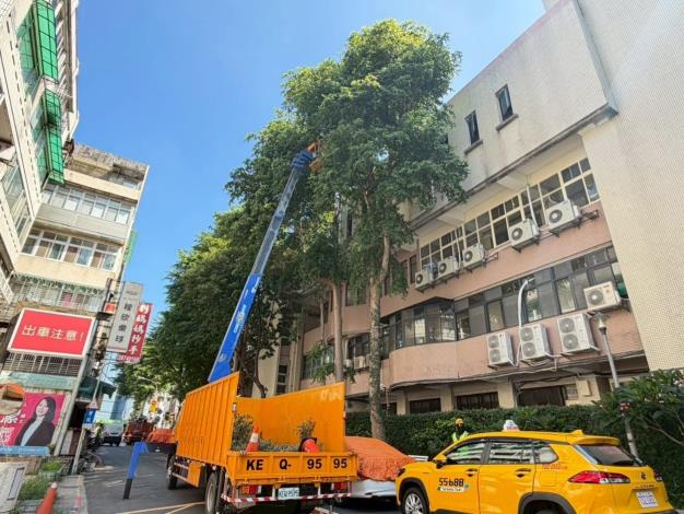 (圖2) 公園處加強緊鄰住宅行道樹修剪疏枝,積極做好防災整備