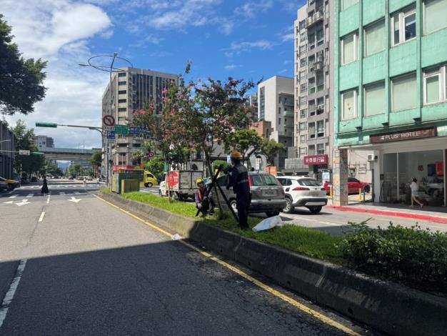 (圖6) 公園處加強立支柱,積極做好防災整備