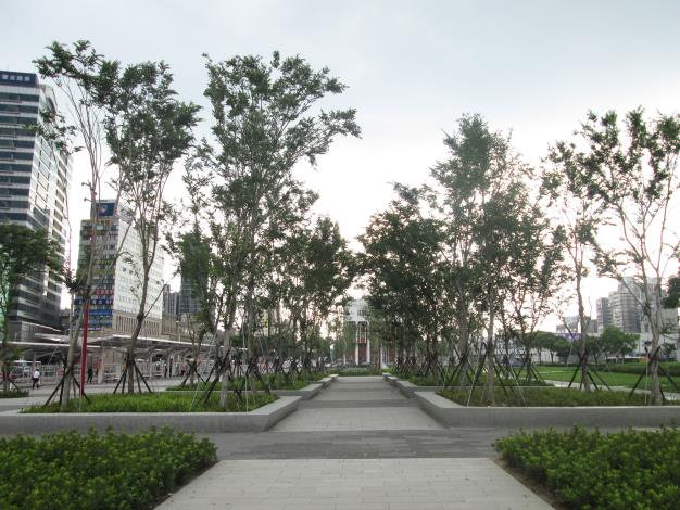 圖3：櫸木林座台區