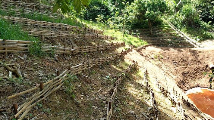 景興公園-打樁編柵