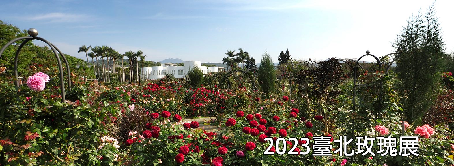 2023臺北玫瑰展