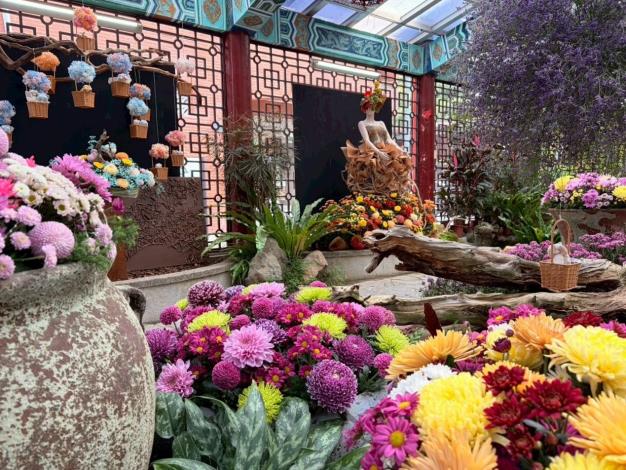 圖10. 以各式染色菊、蠟菊、永生花「花藝禮服」帶您「環遊世界」五大洲