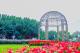 birthday07flower dome