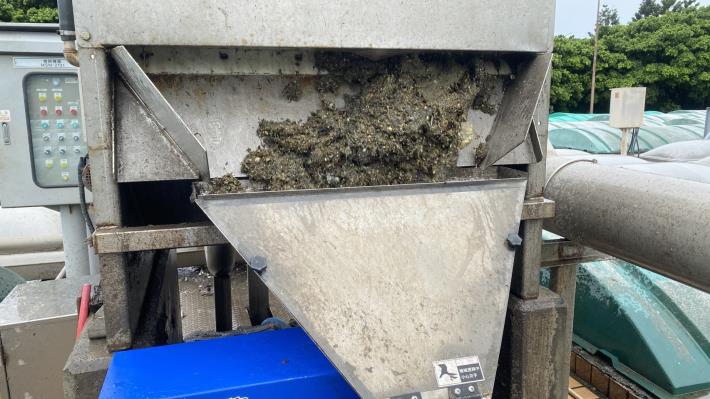 八里污水處理廠經微篩機處理之篩浮渣樣態