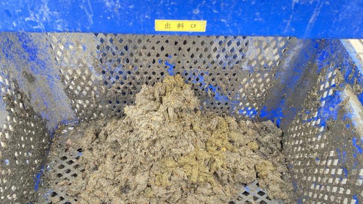 八里污水處理廠篩浮渣再經壓榨機壓榨,含水率顯著降低