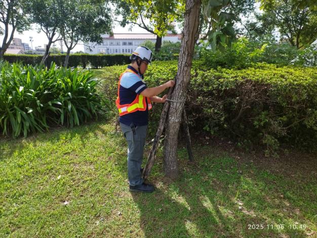迪化廠上曝運動公園樹木防傾倒防颱整備