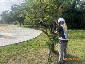 內湖廠上部運動公園喬木已加強支撐