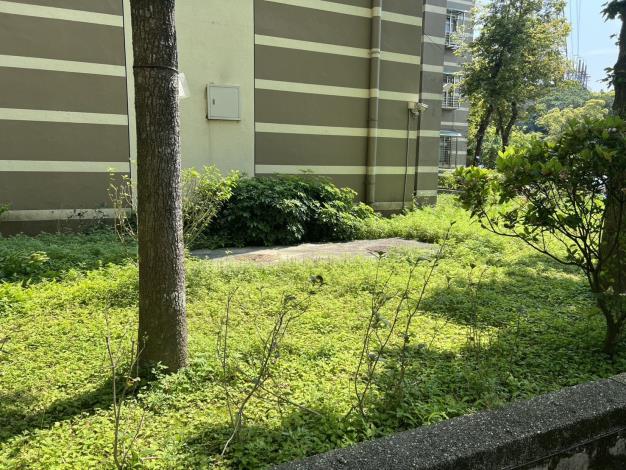萬美出租國宅共計有8座大型化糞池 (圖片為其中1座)