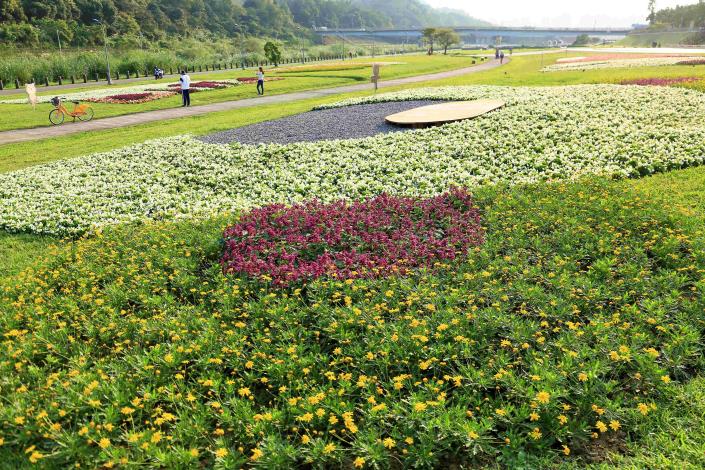 道南河濱公園花海盛開 花期到4月下旬 