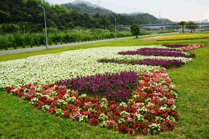 道南河濱童趣花海 賞花期預估可持續到4月下旬