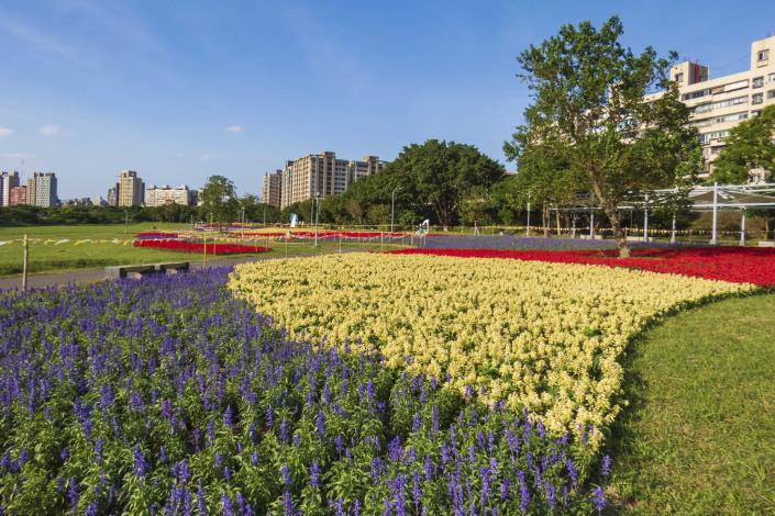 冬季美景限時欣賞， 古亭河濱公園花海盛開