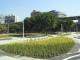 延平河濱公園新設休憩區及植栽綠化