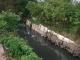 因兩岸淤積造成河道斷面窄小，影響通水性能