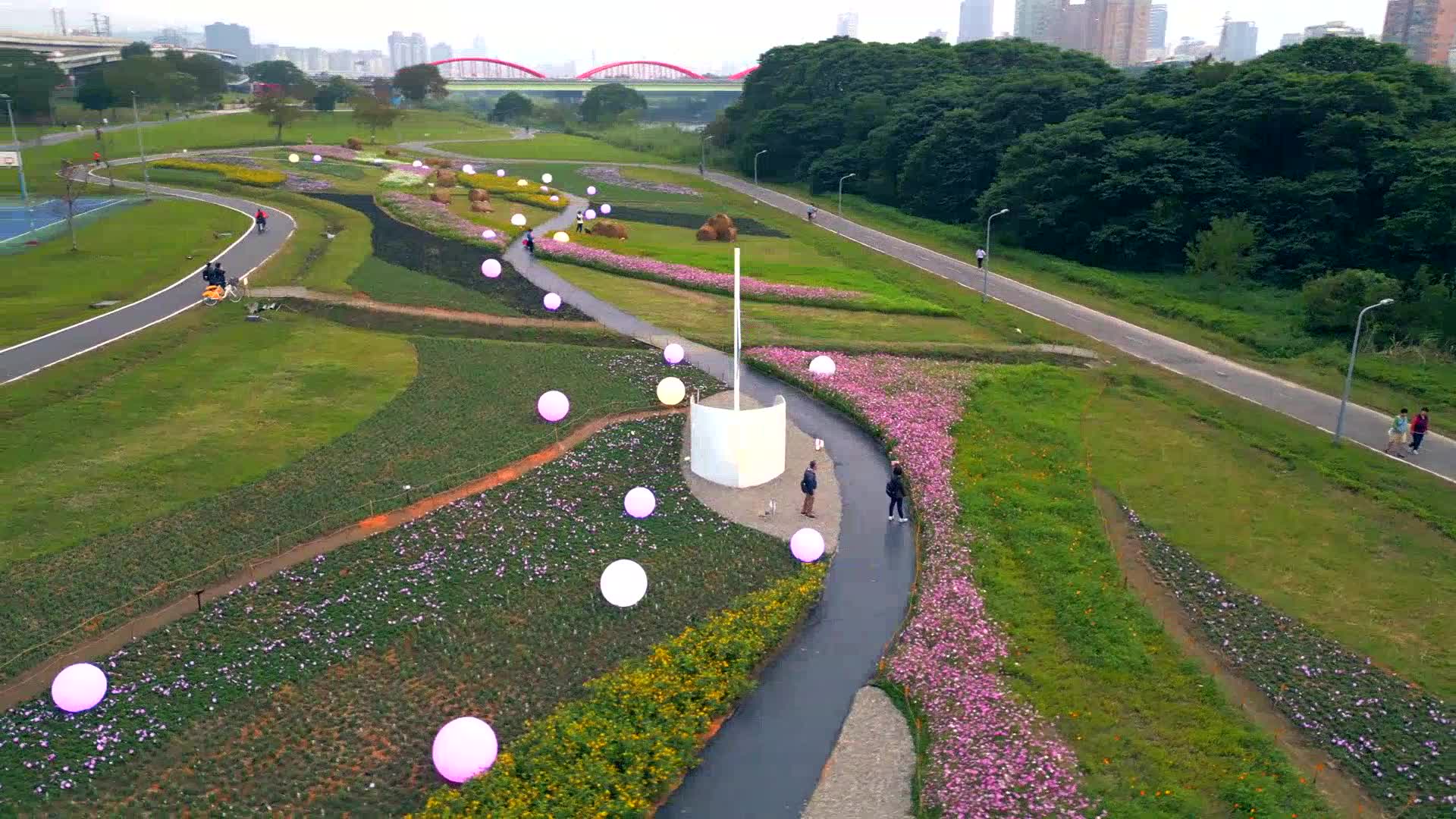 古亭河濱公園花海