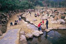 大溝溪親水步道