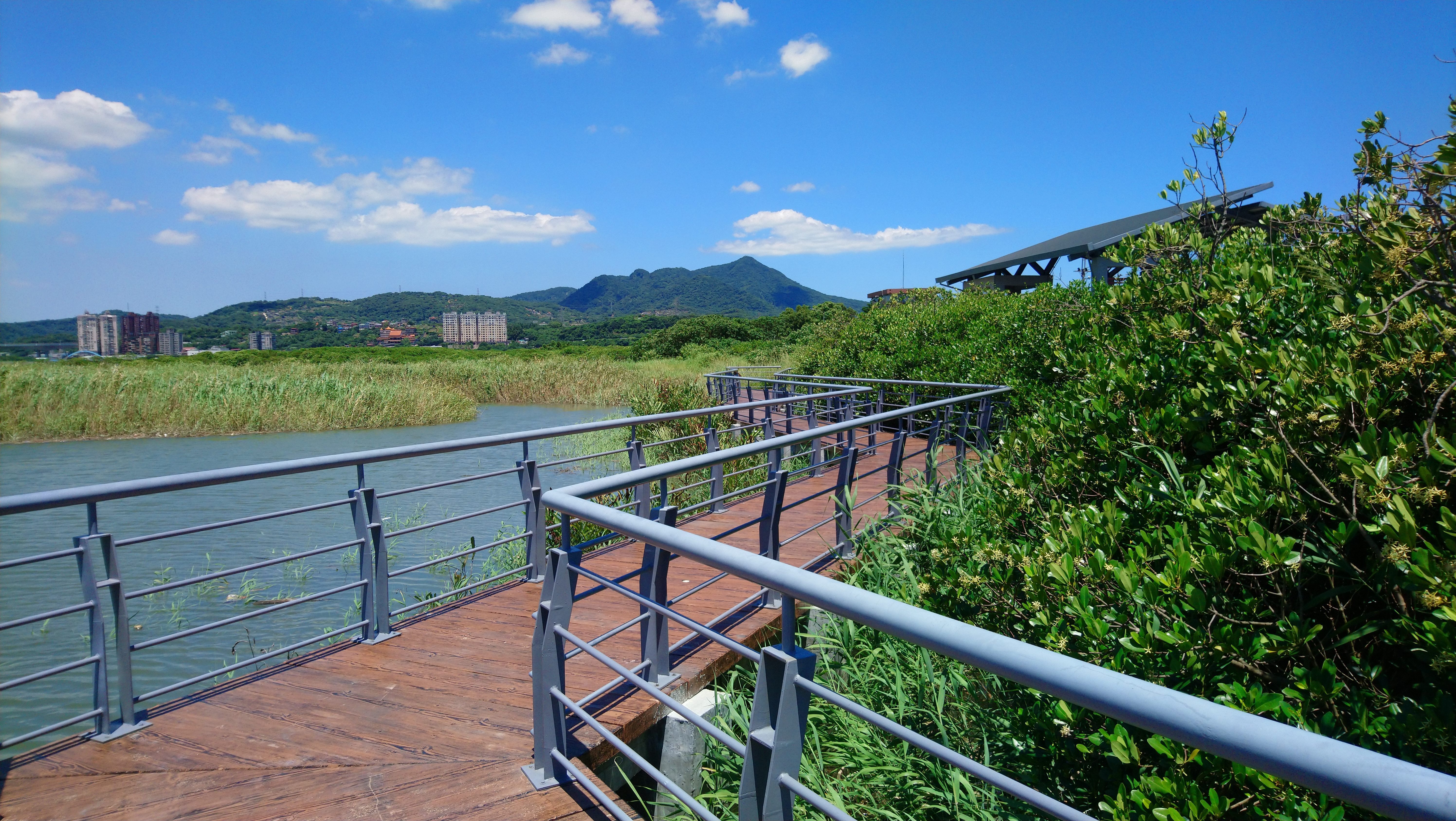 Wetland Ecological