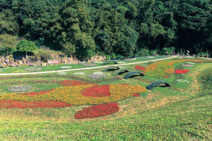 Dagouxi Riverside Park Sea of Flowers is decorated in the form of a “fish”