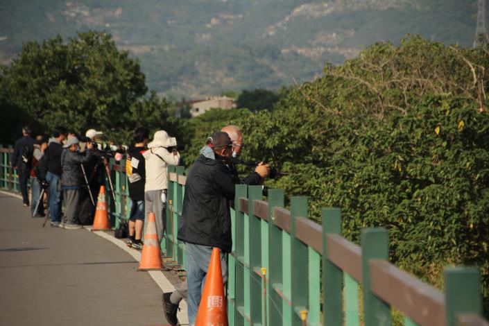 Head to the Shezidao Wetland Embankment Trail to find these adorable feathered visitors through your binoculars
