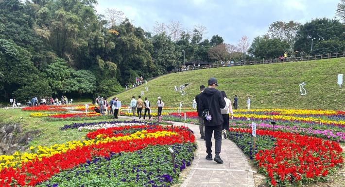 The flower sea follows the curves of the land, letting you wander along the paths to get a close-up look at its beauty