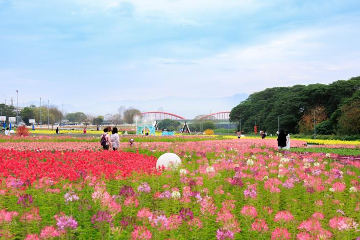 Bursting with color! Yellow, pink, and purple blossoms create a vibrant floral landscape