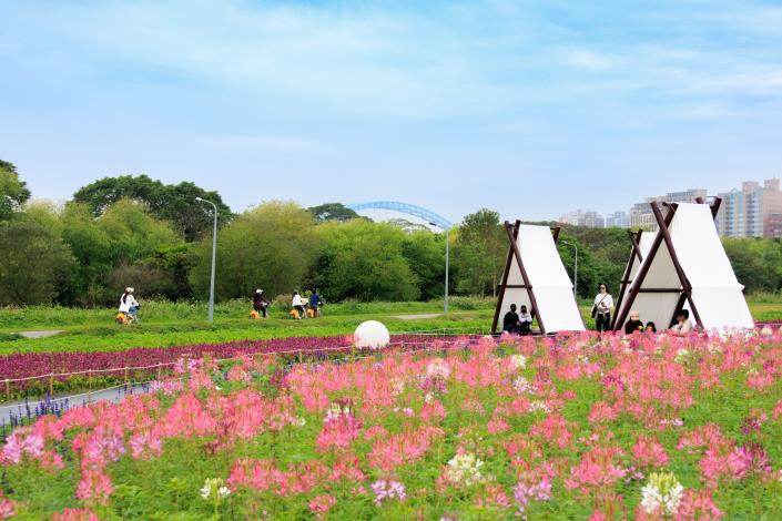 Colorful flower fields and tent installations create postcard-perfect scenes from every angle 