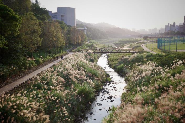 Once known as a “concrete ditch,” Zhinan River has been transformed into a living ecological corridor, with impressive results one year after the bank restoration project