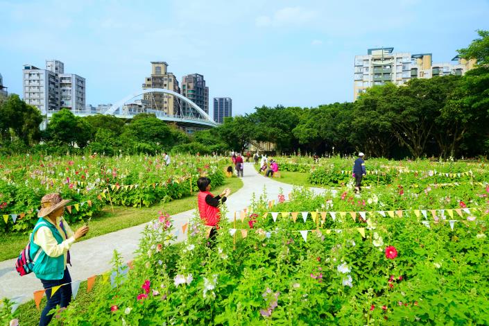 108 古亭河濱 蜀葵花海 高讚賢 1090414 (64)