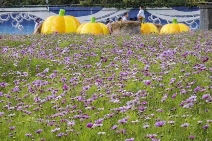 美堤河濱公園 童趣南瓜 稻草捆 好好拍