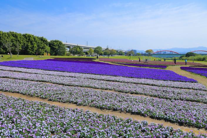 110年度古亭花海1