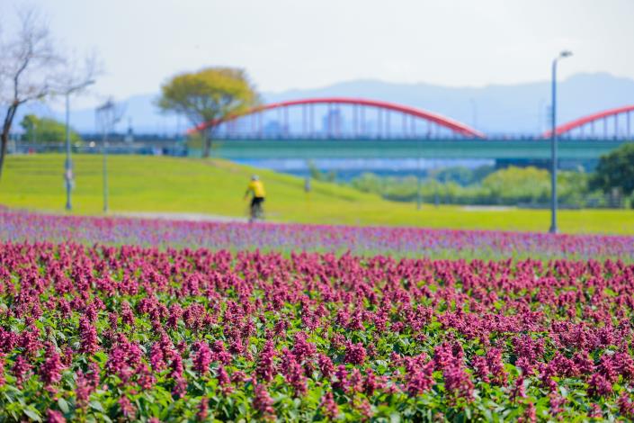 110年度古亭花海3