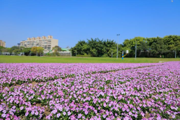 110年度古亭花海2